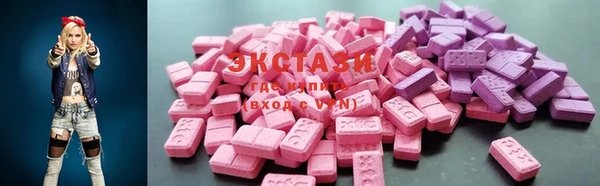 ГАЛЛЮЦИНОГЕННЫЕ ГРИБЫ Козловка