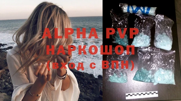 ГАЛЛЮЦИНОГЕННЫЕ ГРИБЫ Козловка