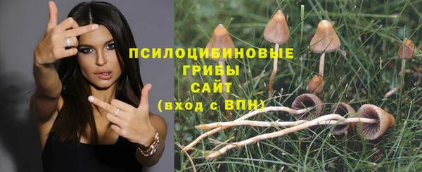 мдпв Козельск