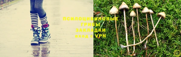 мдпв Козельск