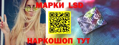 спиды Гатчина