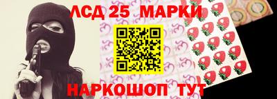 спиды Гатчина
