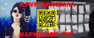 спиды Гатчина
