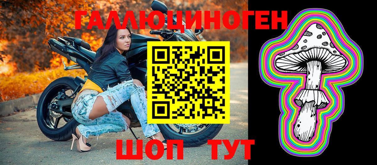 Краснознаменск  Псилоцибиновые грибы мицелий  Вход с VPN 